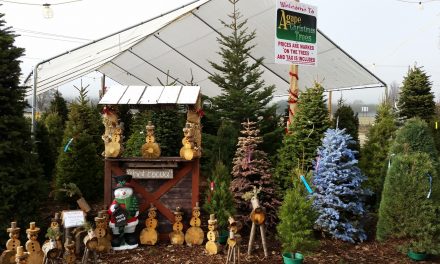 Local Christmas Tree Lots Ready for the Season