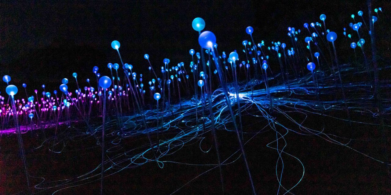 Bruce Munro: Field of Light at Sensorio Lends Support to Local Food Bank, First-Responders with ‘Sensorio Gives Back Sunday’