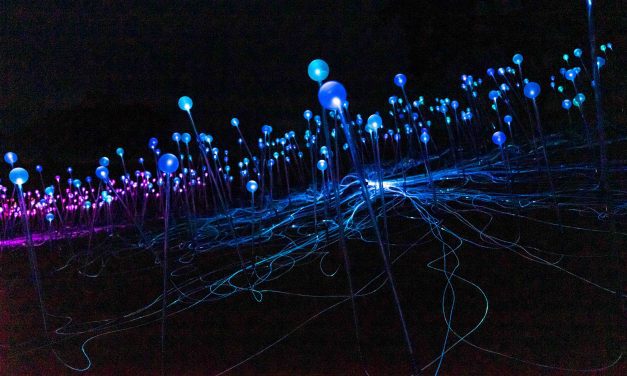 Bruce Munro: Field of Light at Sensorio Lends Support to Local Food Bank, First-Responders with ‘Sensorio Gives Back Sunday’