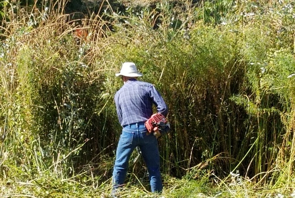 Volunteers needed for annual Atascadero River & Creek Cleanup Day