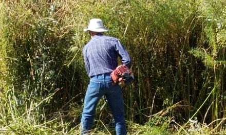 Volunteers needed for annual Atascadero River & Creek Cleanup Day