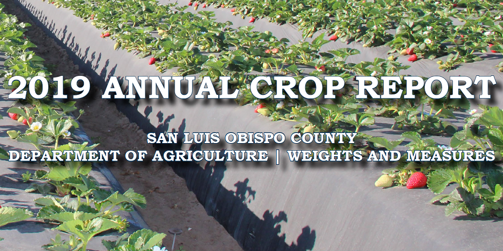 2019 Crop Report: San Luis Obispo County Agriculture Reports Second-Highest Value Year on Record