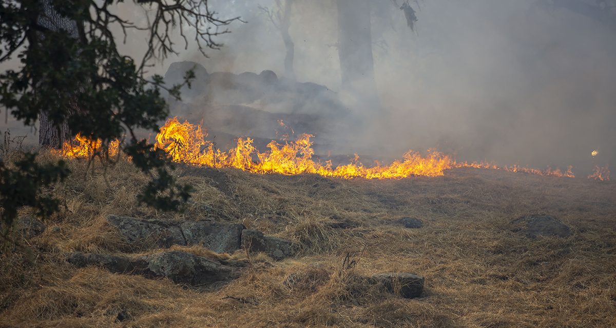 10 Acres Burn in Brush Fire