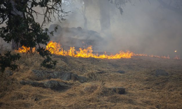 10 Acres Burn in Brush Fire