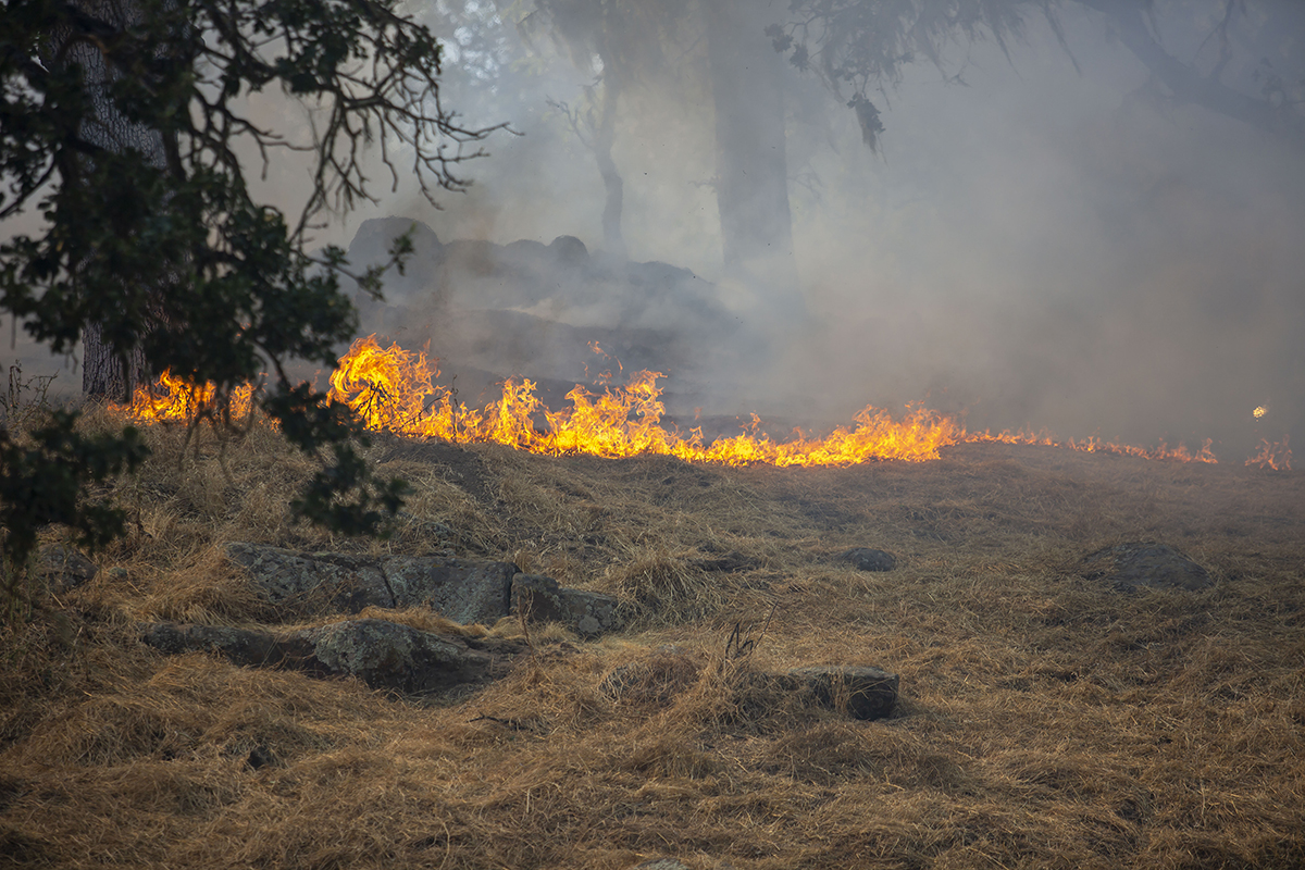 10 Acres Burn in Brush Fire • Atascadero News