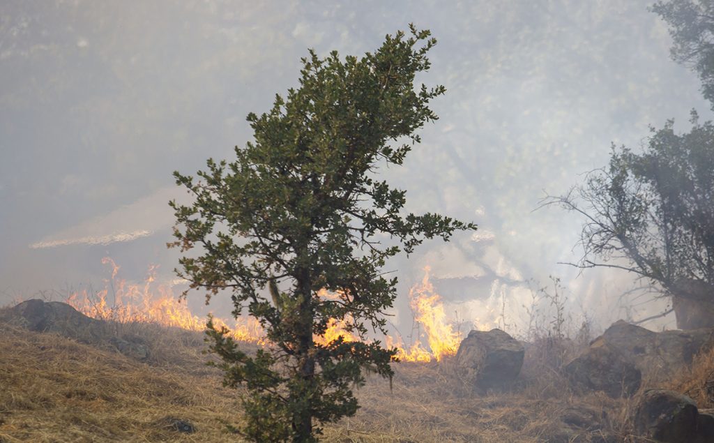 2020 Atascadero Brush Fire 016