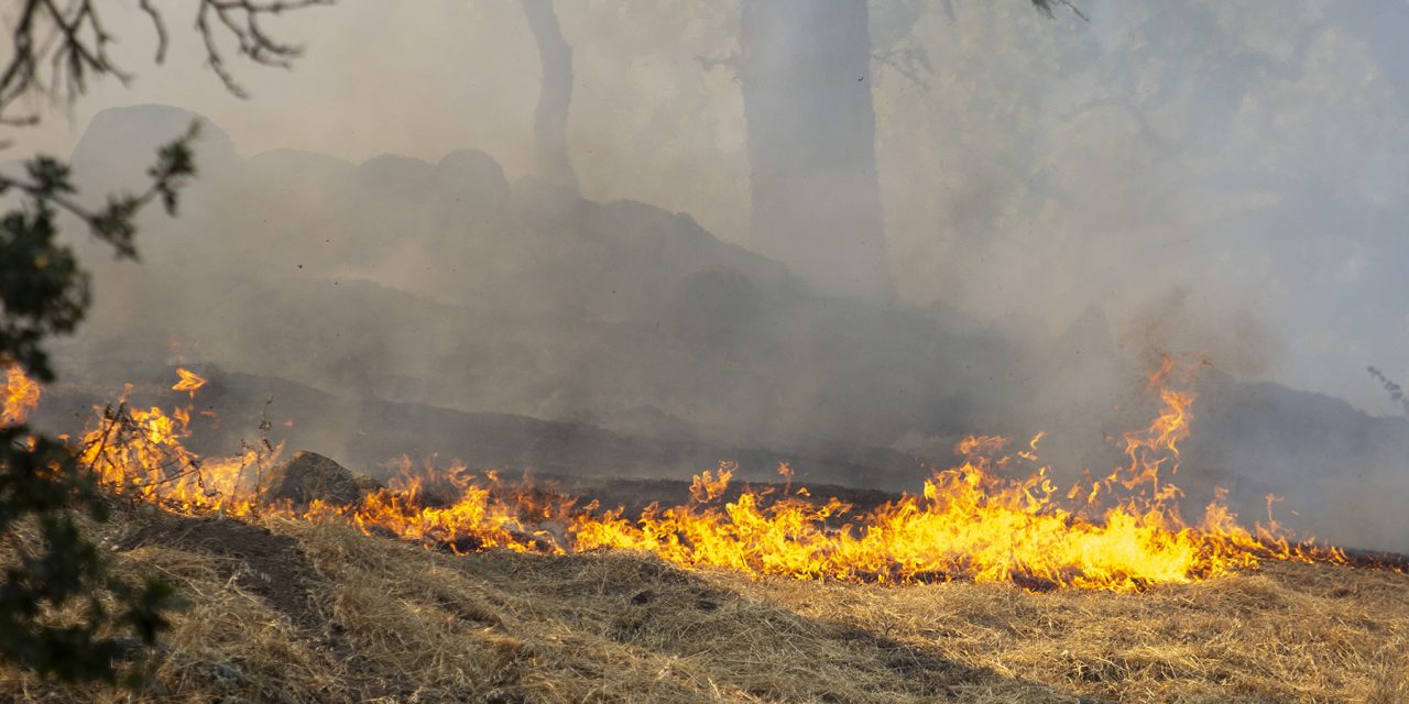 Grassfire Threatened Homes in Atascadero, On Tuesday, June 9