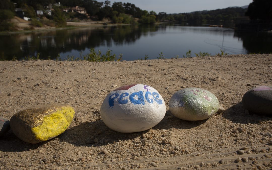 Atascadero Rock Snake Finding a New Home