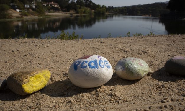 Atascadero Rock Snake Finding a New Home