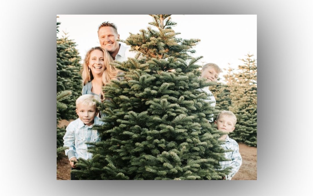 Recent Agape Christmas Trees Moves to New Location