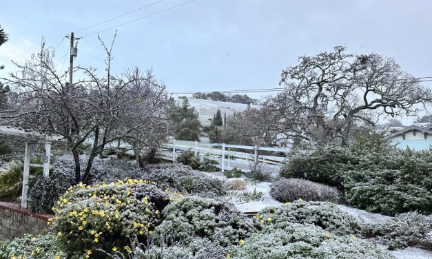 Snow Makes Rare Appearance in North County