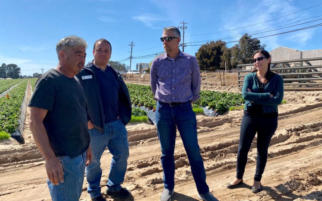 Recent Iconic Grover Beach Farm Stand Opens After Rain Delays Strawberry Harvest