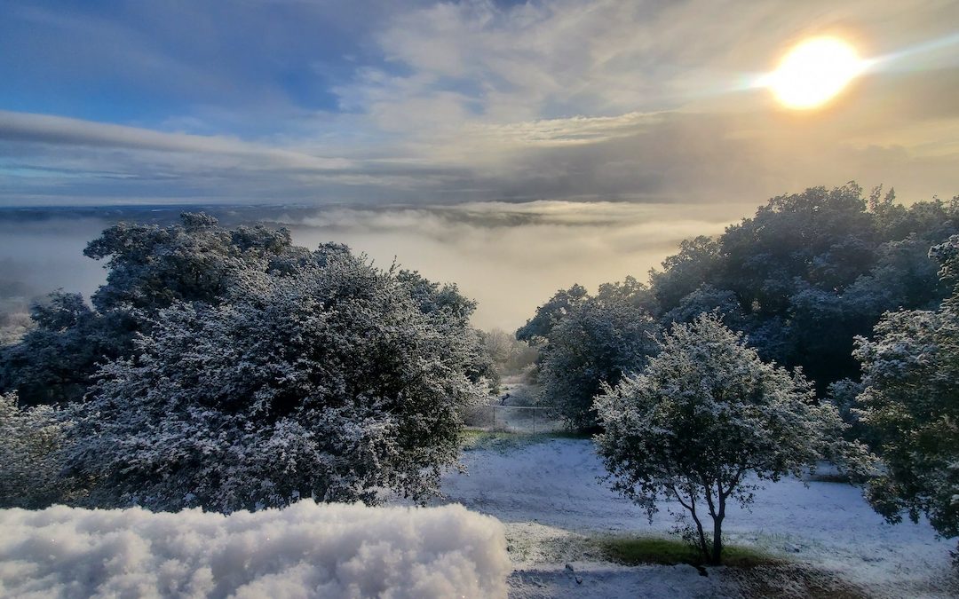 Recent Community Photos of the North County Snow