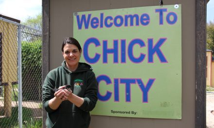 Charles Paddock Zoo Celebrates Spring with Baby Chicks