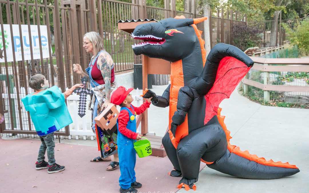 Charles Paddock Zoo announces two nights of Halloween fun