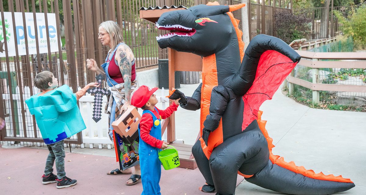 Charles Paddock Zoo announces two nights of Halloween fun