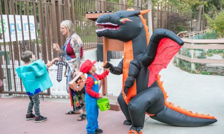 Charles Paddock Zoo announces two nights of Halloween fun