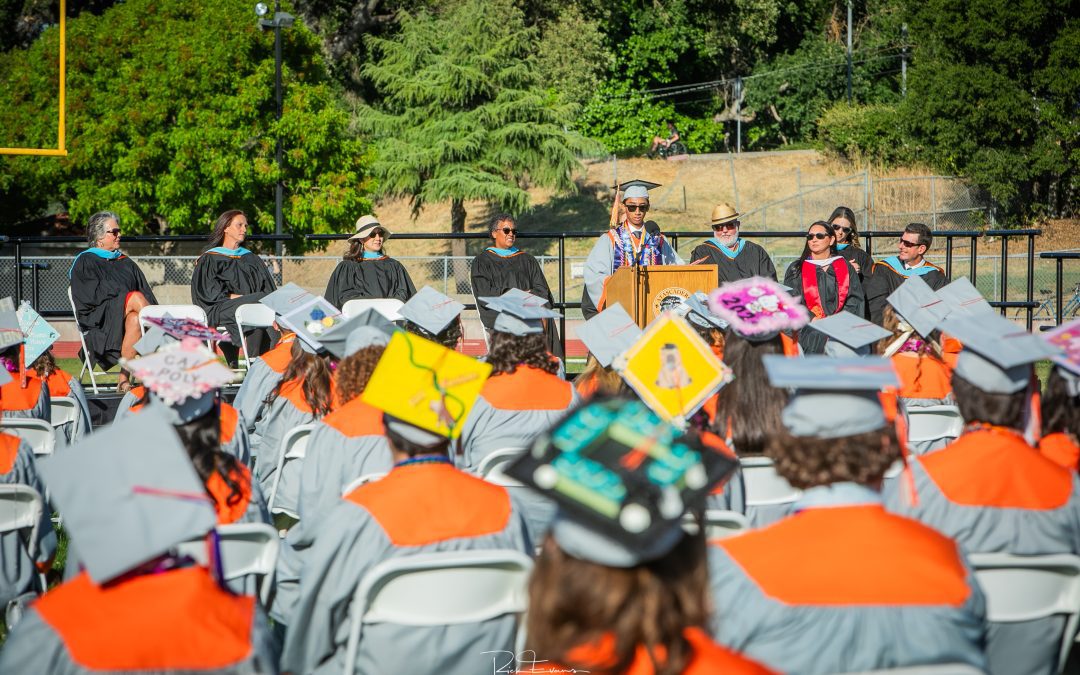 Over 250 Greyhounds get their diplomas