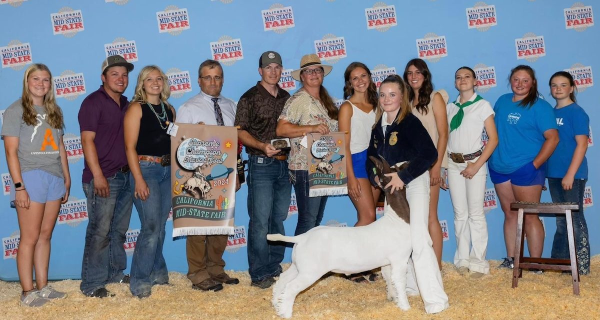 Atascadero FFA rounds up California Mid-State Fair success