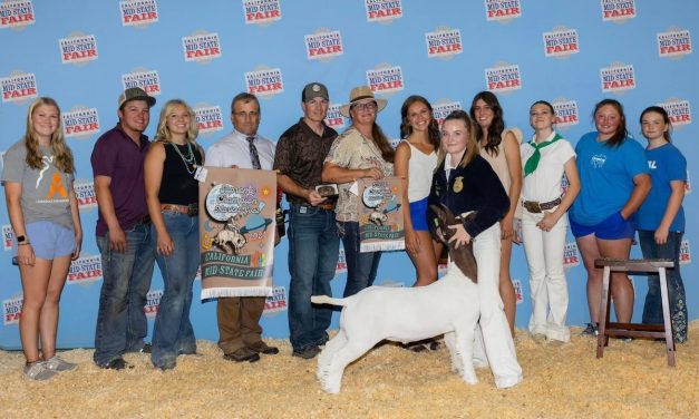 Atascadero FFA rounds up California Mid-State Fair success