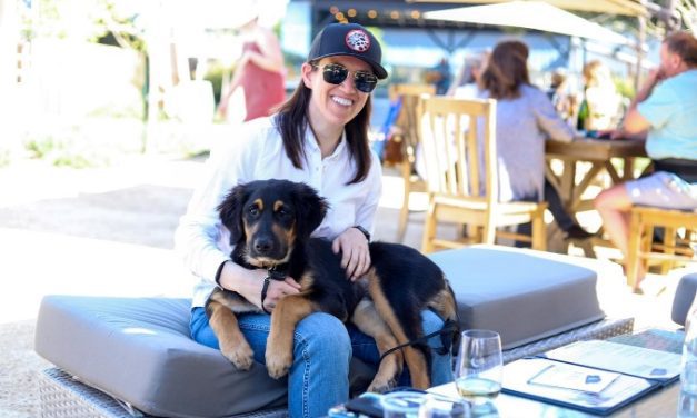 16th Annual Wine 4 Paws Weekend Returns on April 20-21