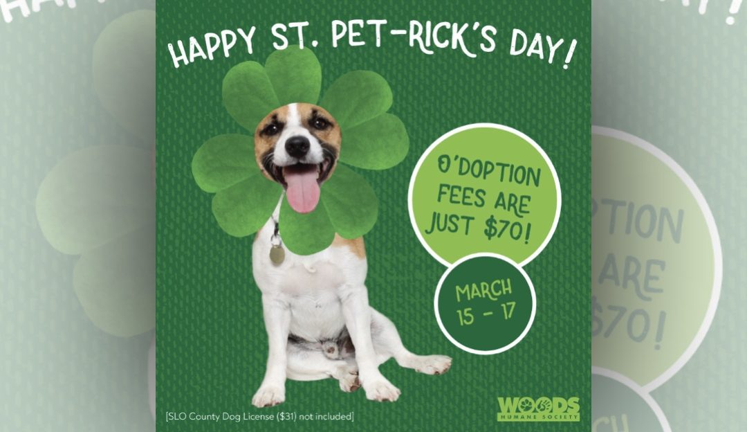 Recent Woods Humane Society starts St. PET-rick’s Day adoption promotion