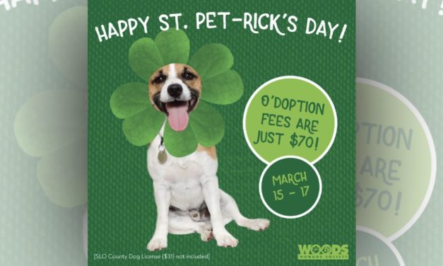 Woods Humane Society starts St. PET-rick’s Day adoption promotion