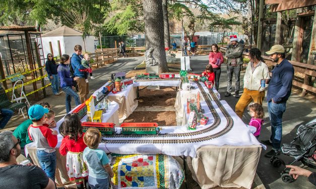 Animals at Charles Paddock Zoo celebrate Holiday Magic