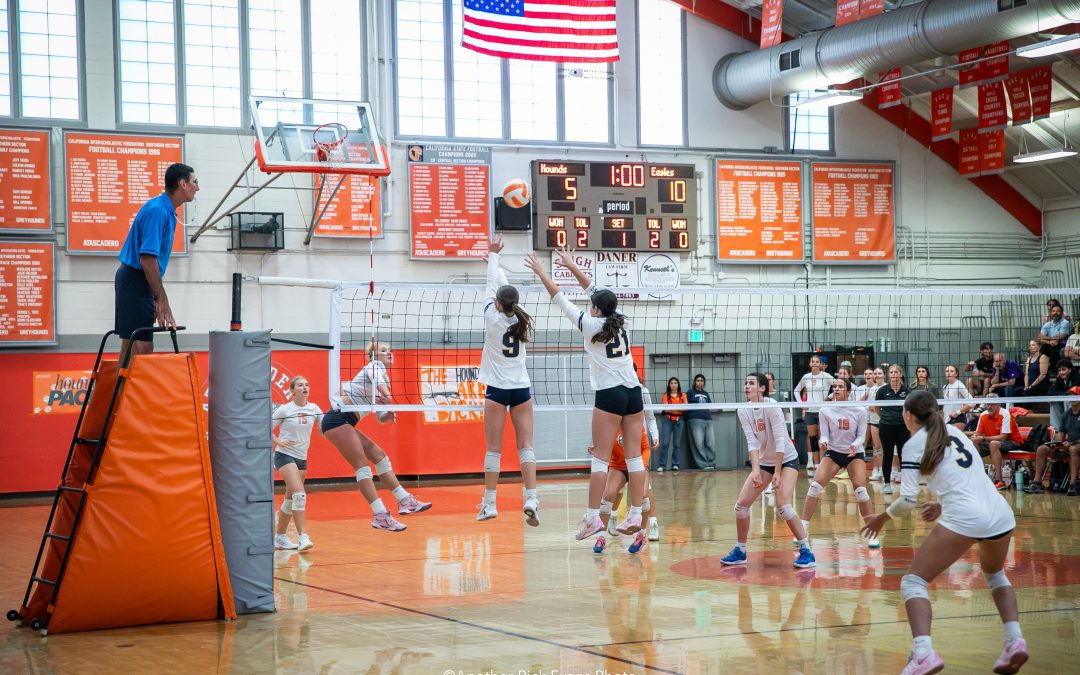 Recent North County high school athletes shine in early-season action