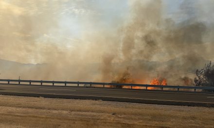 Be Advised: Vegetation Fire reported near Santa Margarita