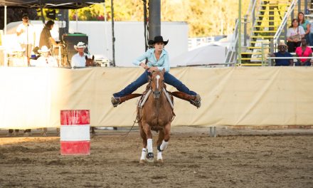 CMSF Horse Show Entries Due Friday, July 2