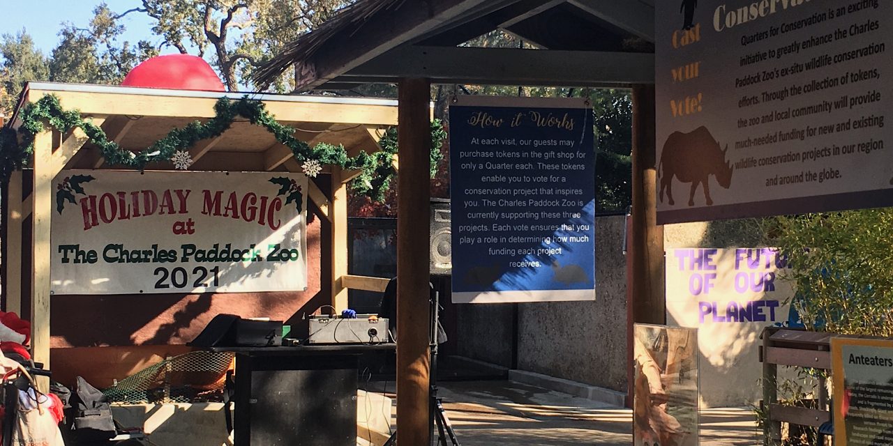 Holiday Magic at Charles Paddock Zoo