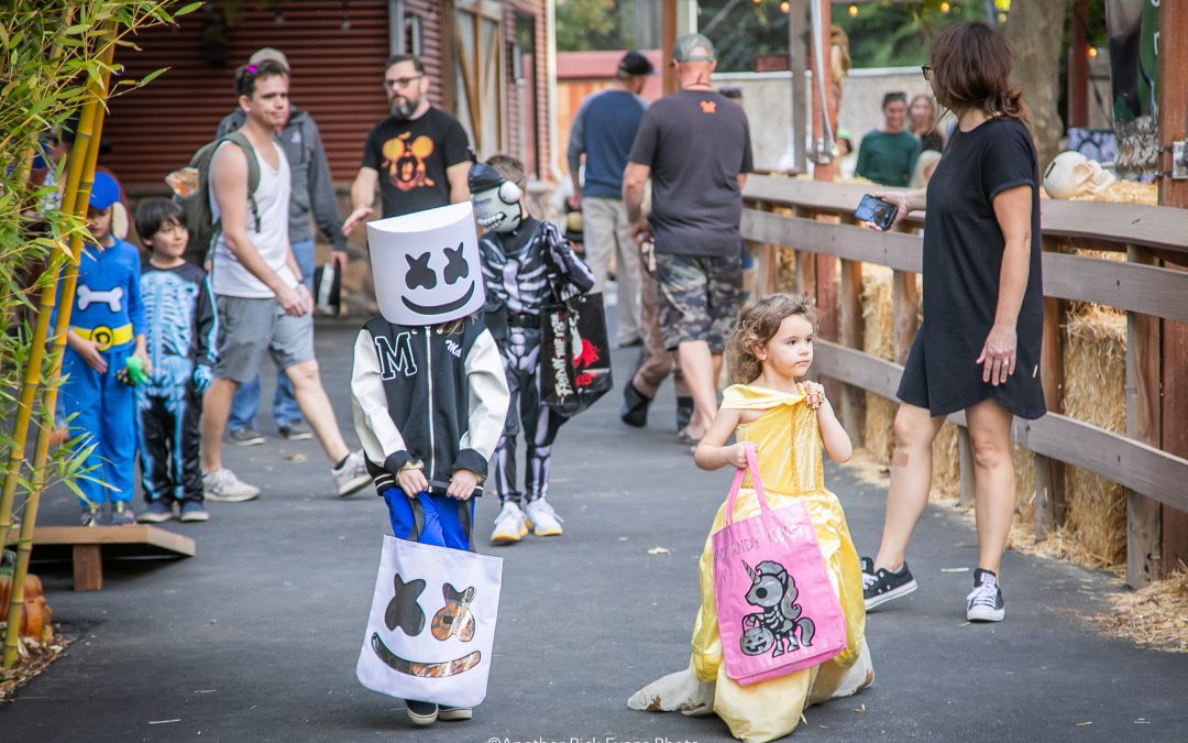 Zoo Boo adds to Halloween fun with second night