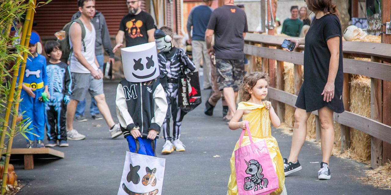 Zoo Boo adds to Halloween fun with second night