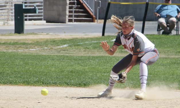 Greyhound Softball Gaining Confidence