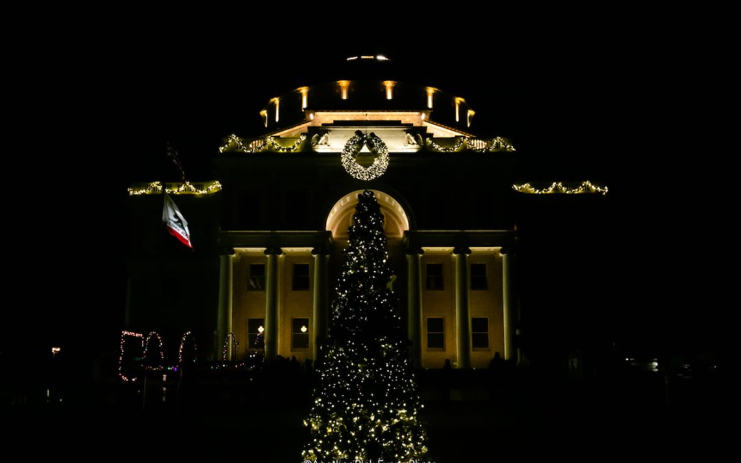 City presenting new ‘Garden Lights & Winter Nights’ in Sunken Gardens