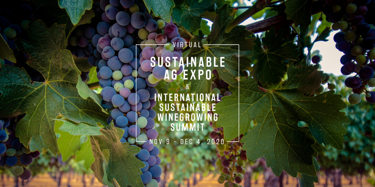 Registration Still Open for Virtual Ag Expo and International Sustainable Winegrowing Summit