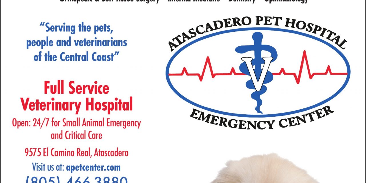 Atascadero Pet Hospital Open for You