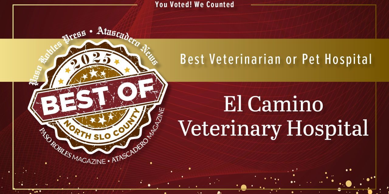 Best of 2025 Winner: Best Veterinarian or Pet Hospital