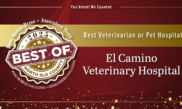 Best of 2025 Winner: Best Veterinarian or Pet Hospital