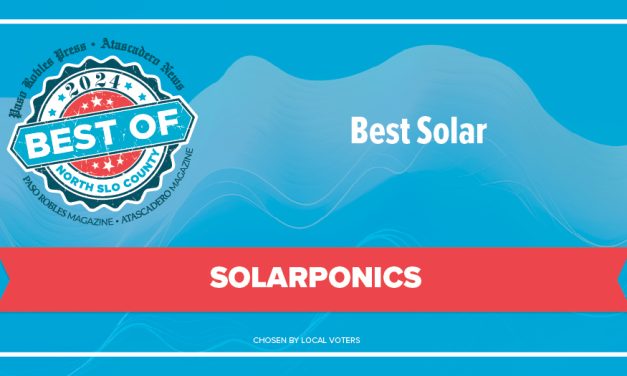 Best of 2024 Winner: Best Solar
