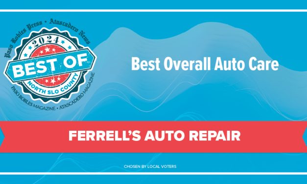 Best of 2024 Winner: Best Overall Auto Care