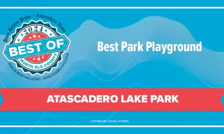 Best of 2024 Winner: Best Park Playground