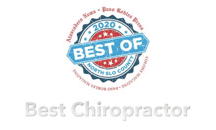 Best of 2020 winner: Best Chiropractor
