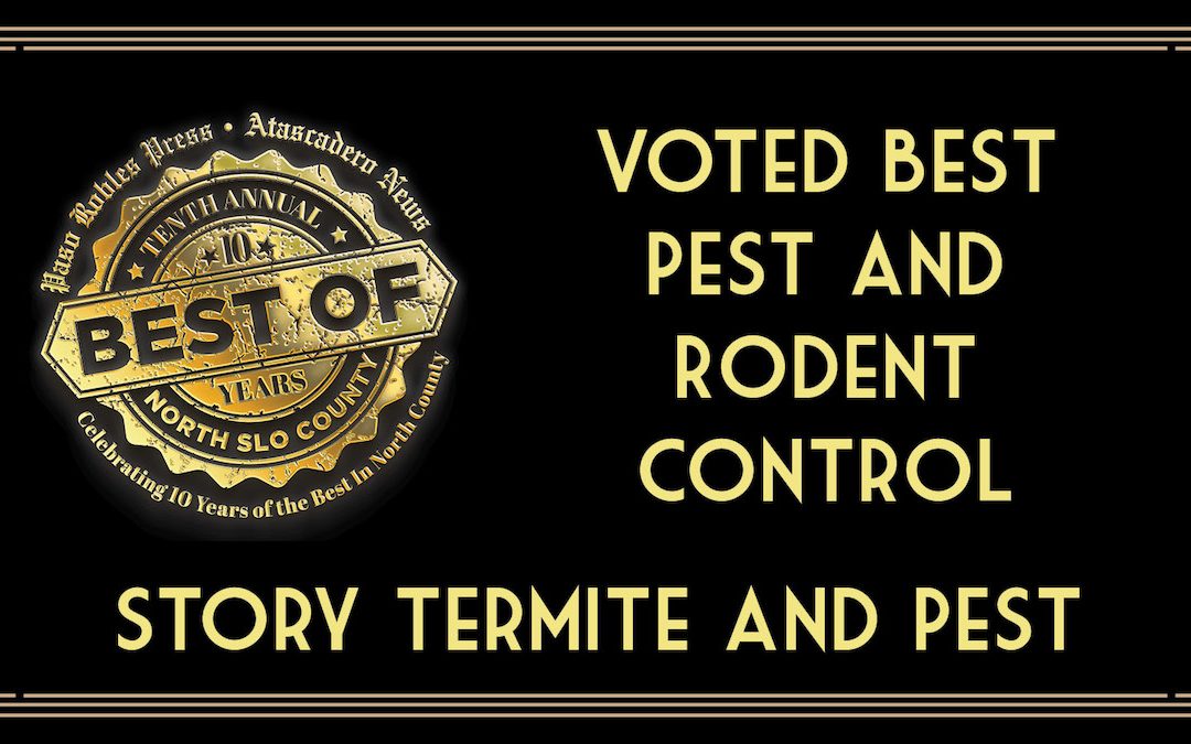 Recent Best of 2023 Winner: Best Pest and Rodent Control
