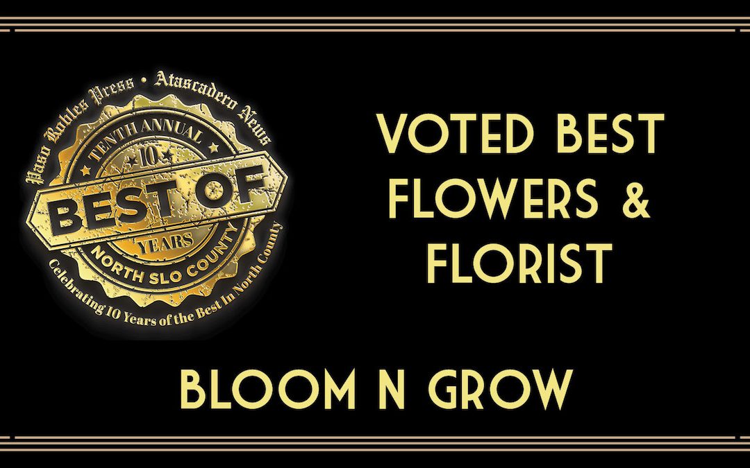 Recent Best of 2023 Winner: Best Flowers & Florist