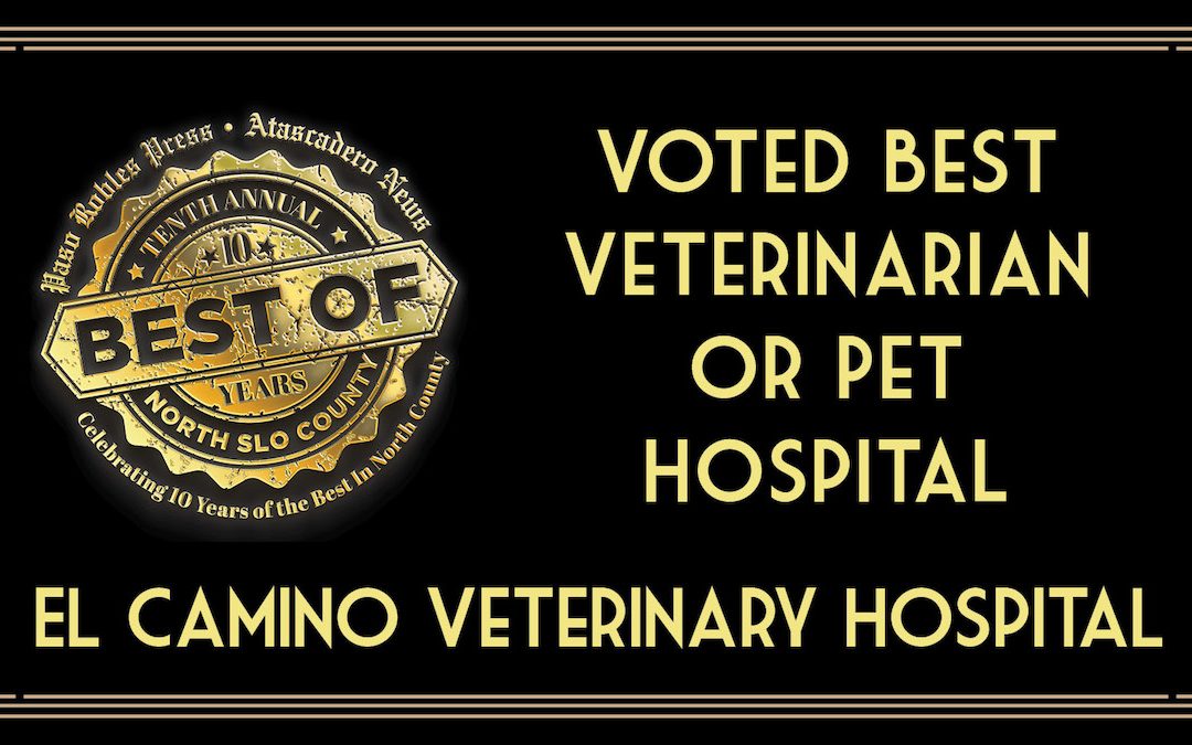 Recent Best of 2023 Winner: Best Veterinarian or Pet Hospital