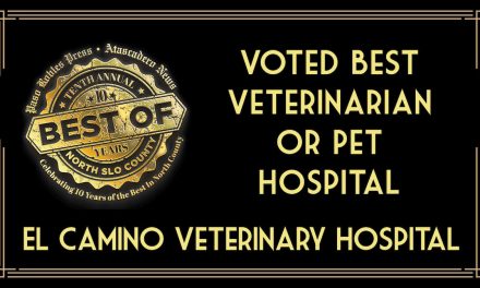Best of 2023 Winner: Best Veterinarian or Pet Hospital