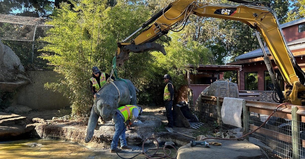 Bronze tiger sculpture relocated at Charles Paddock Zoo