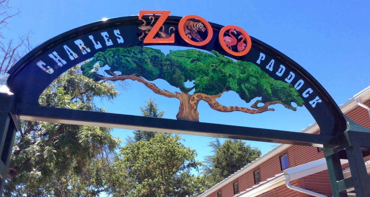 The Charles Paddock Zoo Presents Ice Cream Zoofari